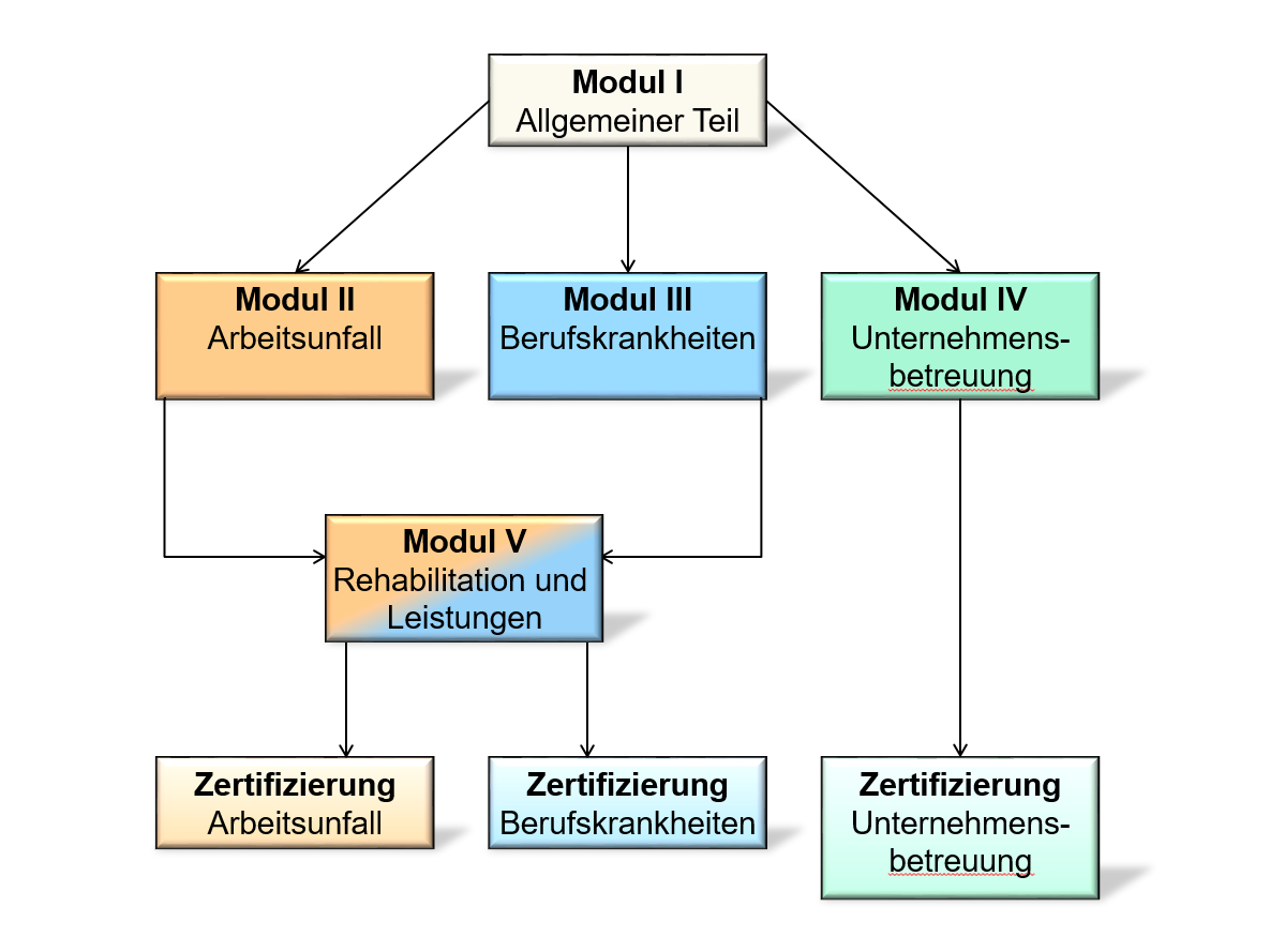 Basistraining Grafik